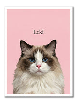 CAT2_PINK