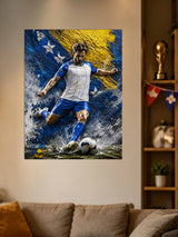 Bosnia and Herzegovina National  soccer Team