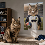 Cat Ball Star_B