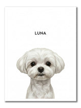 DOG2_WHITE