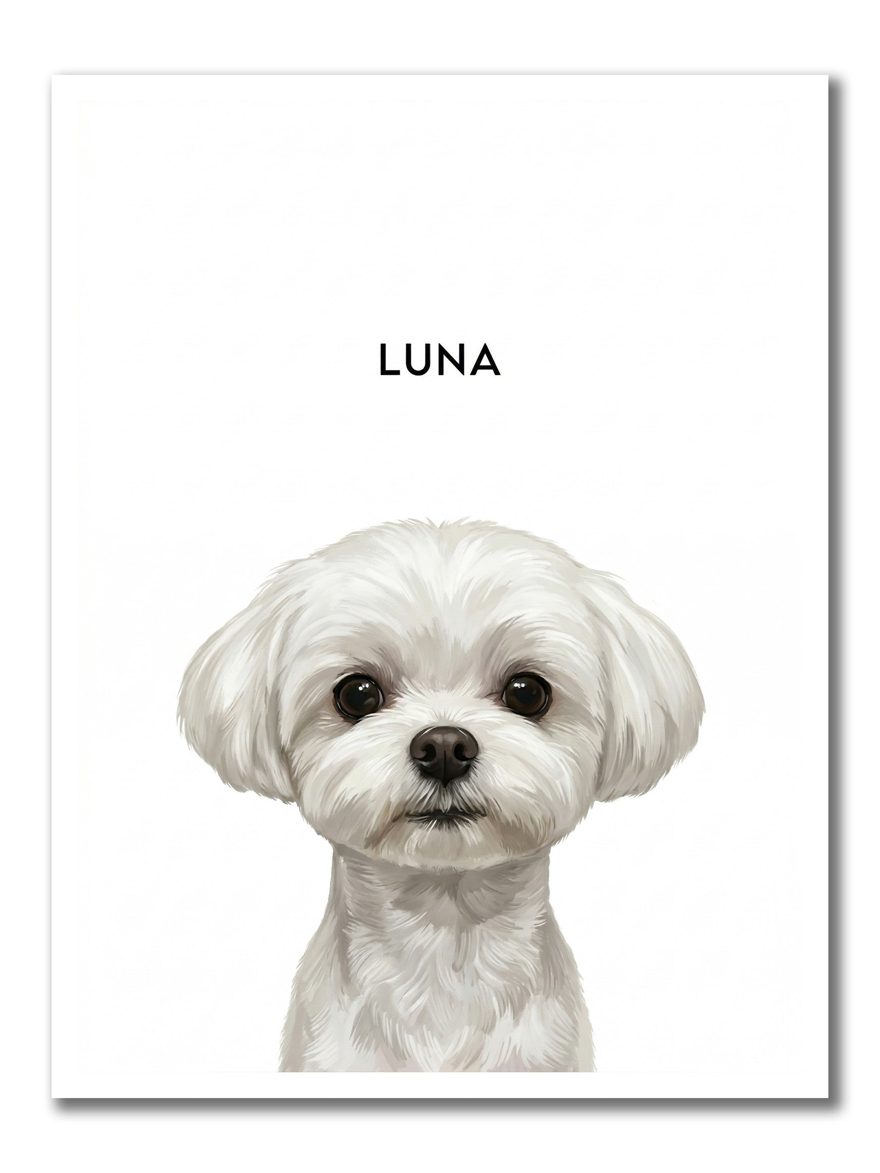 Custom Illustration-Style Portrait