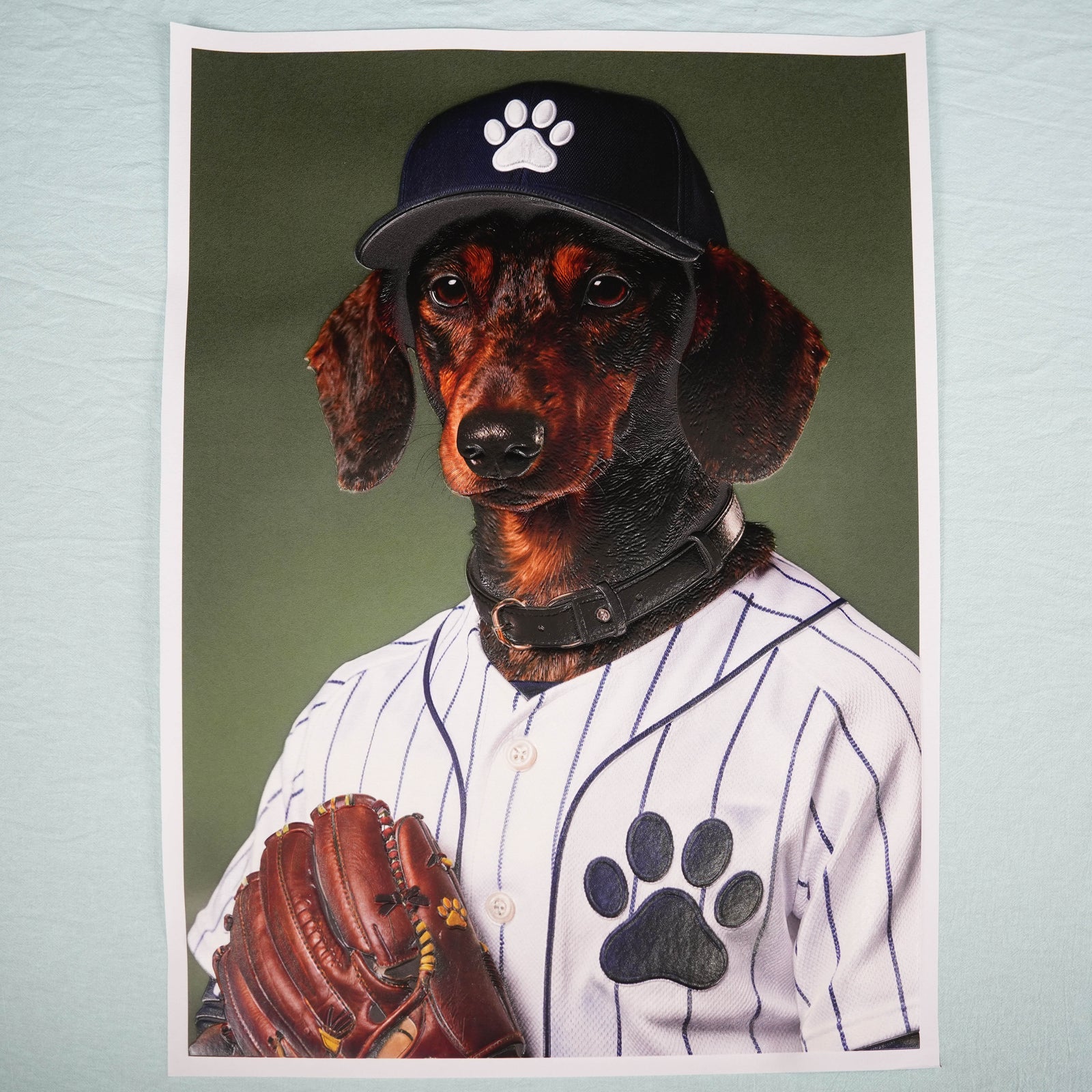 The Baseball Player