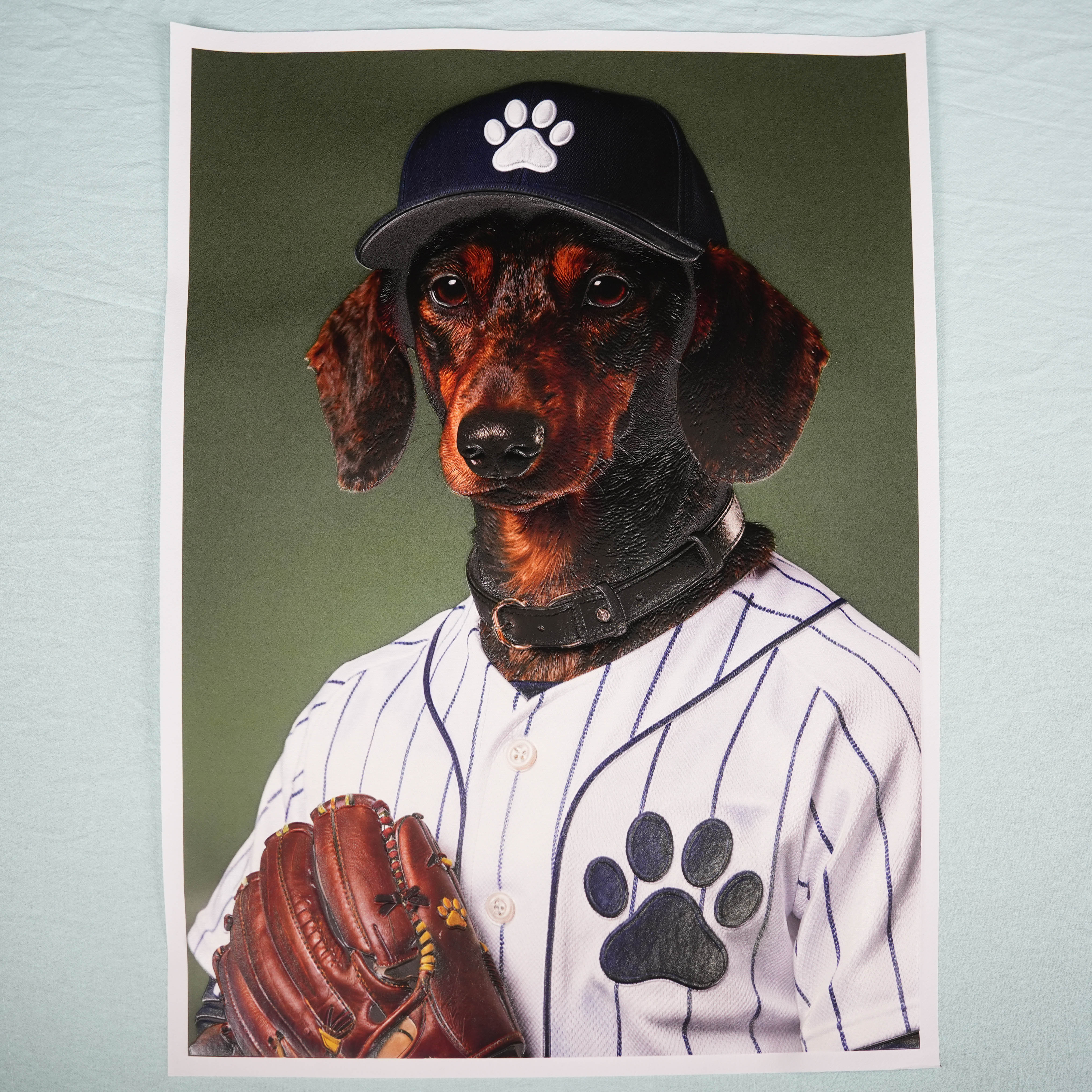 The Baseball Player