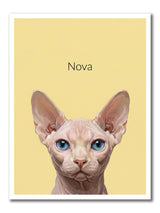 CAT2_YELLOW