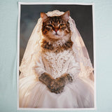The Bride