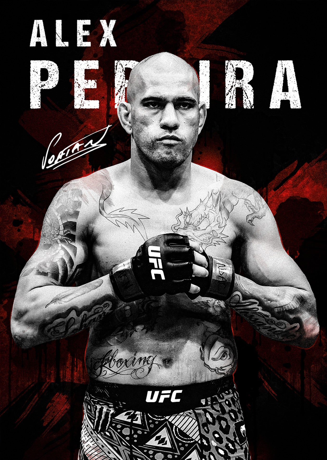 Alex Pereira: Fighter's Gaze