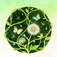 Noah Avatar