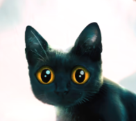 Societty Avatar