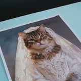 The Bride