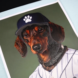The Baseball Player