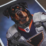 The Ice Hockey Player