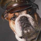 The General